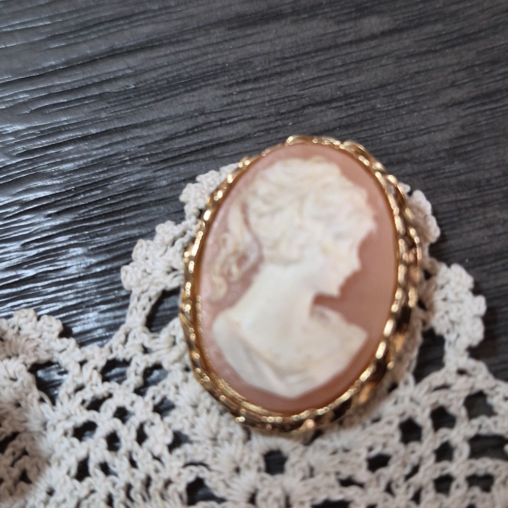 Assorted Women’s Decorative Brooch - Multi-Color Rhinestone & Cameo Cluster - Picture 5 of 8